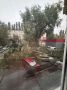 В Воронеже на улице Урицкого дерево упало на парковку