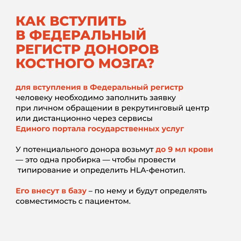 Костный мозг – орган, который обеспечивает бесперебойное функционирование всего организма Костный мозг – орган, который обеспечивает бесперебойное функционирование всего организма