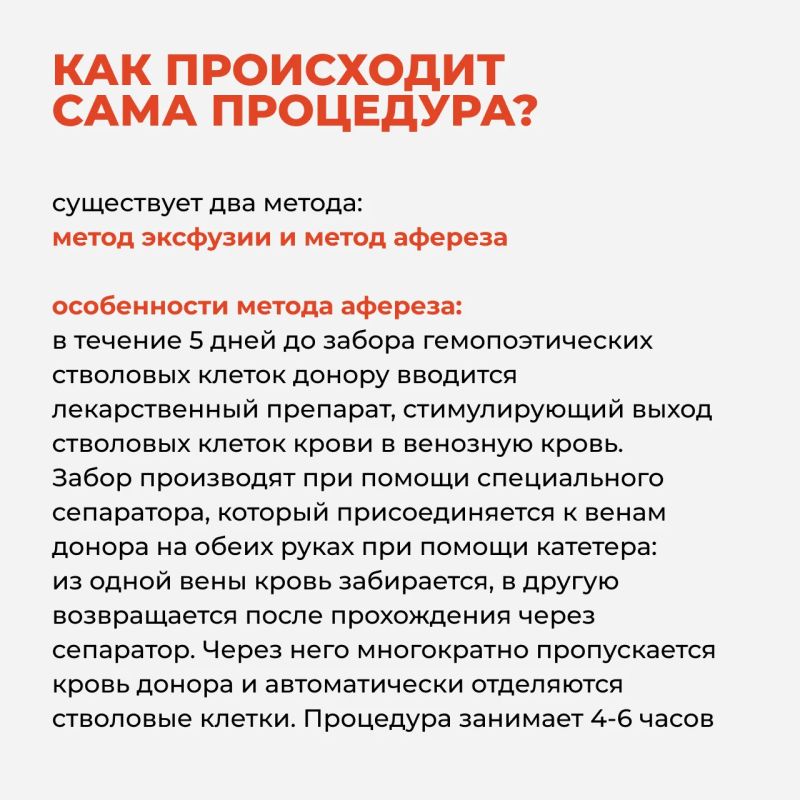 Костный мозг – орган, который обеспечивает бесперебойное функционирование всего организма Костный мозг – орган, который обеспечивает бесперебойное функционирование всего организма