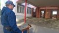 Кинологи обследовали избирательные участки в Воронеже накануне выборов в Госдуму