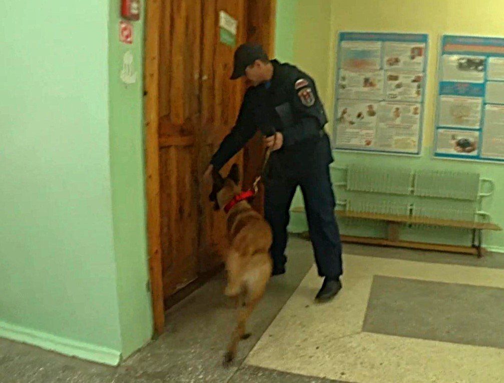 Кинологи обследовали избирательные участки в Воронеже накануне выборов в Госдуму Кинологи обследовали избирательные участки в Воронеже накануне выборов в Госдуму