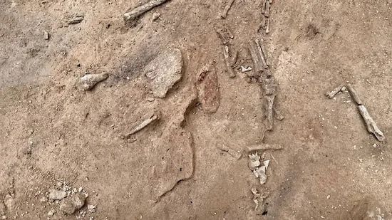 Полсотни украшений возрастом более 41 тысячи лет нашли в воронежских «Костенках»