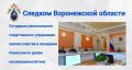 В Воронеже сотрудник регионального следственного управления принял участие в заседании областной Комиссии по делам несовершеннолетних и защите их прав