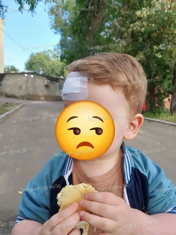 Муфлон травмировал 2-летнего мальчика в «Червлёном Яру», сообщили родители ребёнка Муфлон травмировал 2-летнего мальчика в «Червлёном Яру», сообщили родители ребёнка