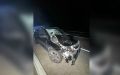 � �������������� ������ �������� ���������� Belgee X50 ����� �������� ���� ��������
