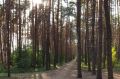 В Воронеже опубликовали приметы извращенца, преследующего девушек