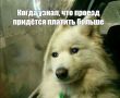 Проезд в общественном транспорте Воронежа может подорожать на 3-5 рублей