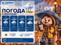 Погода 24 сентября:. Утро встретит дождем +14, ветер 5 м/с