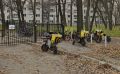 В Воронежской области могут ввести плату за парковку электросамокатов