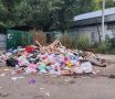 Жители сообщили о скоплении мусора на улице Моисеева