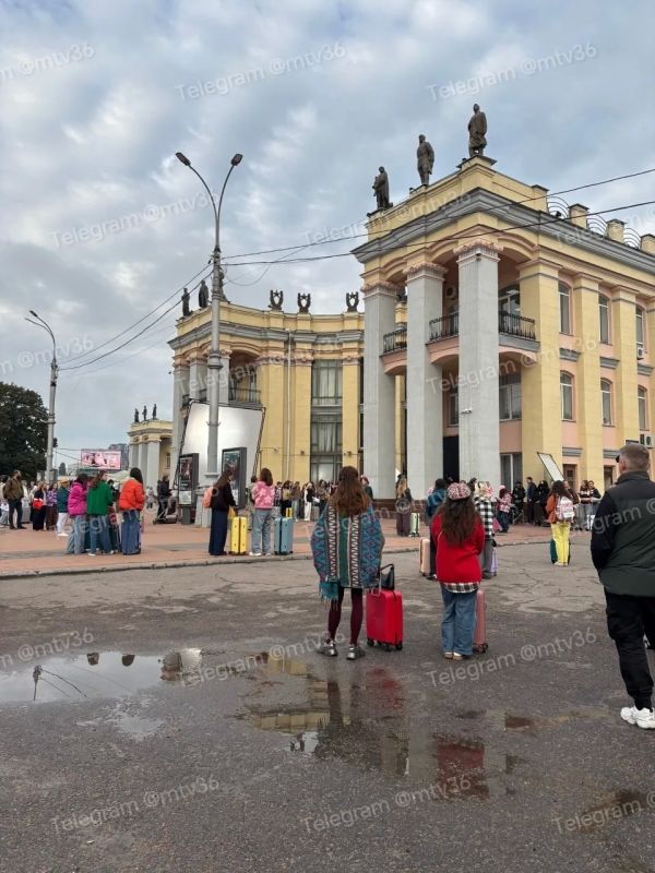 В Воронеже снимают полнометражный фильм «Три кота»