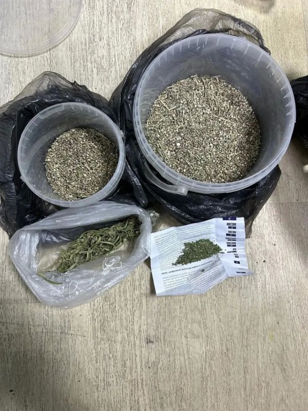 В Воронеже задержали мужчину с крупной партией марихуаны В Воронеже задержали мужчину с крупной партией марихуаны