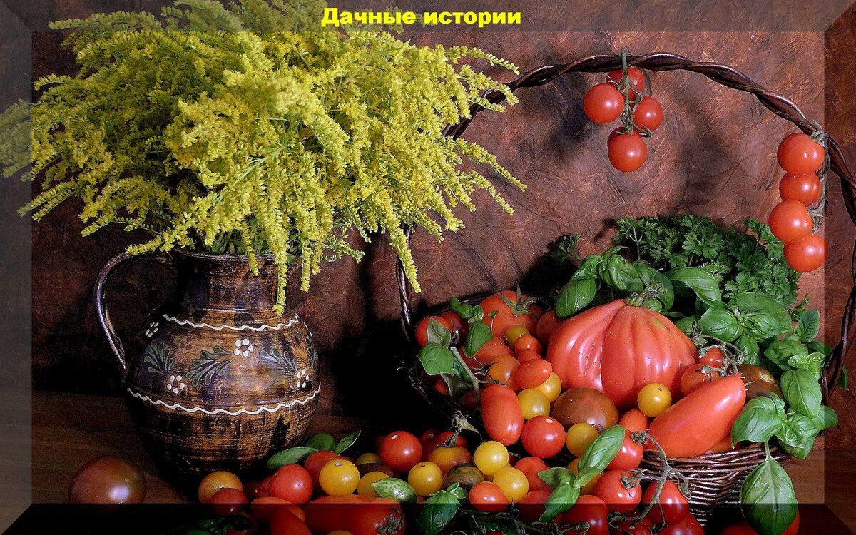Как сохранить урожай томатов: советы и секреты для садоводов