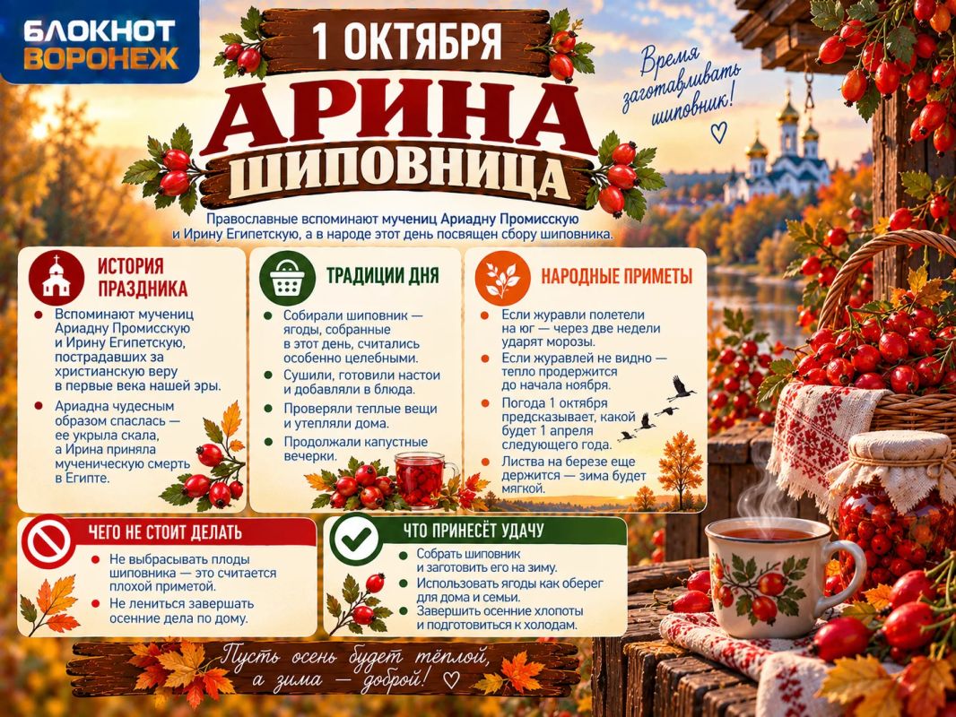Арина Шиповница - по традиции заготавливать в эту пору плоды шиповника