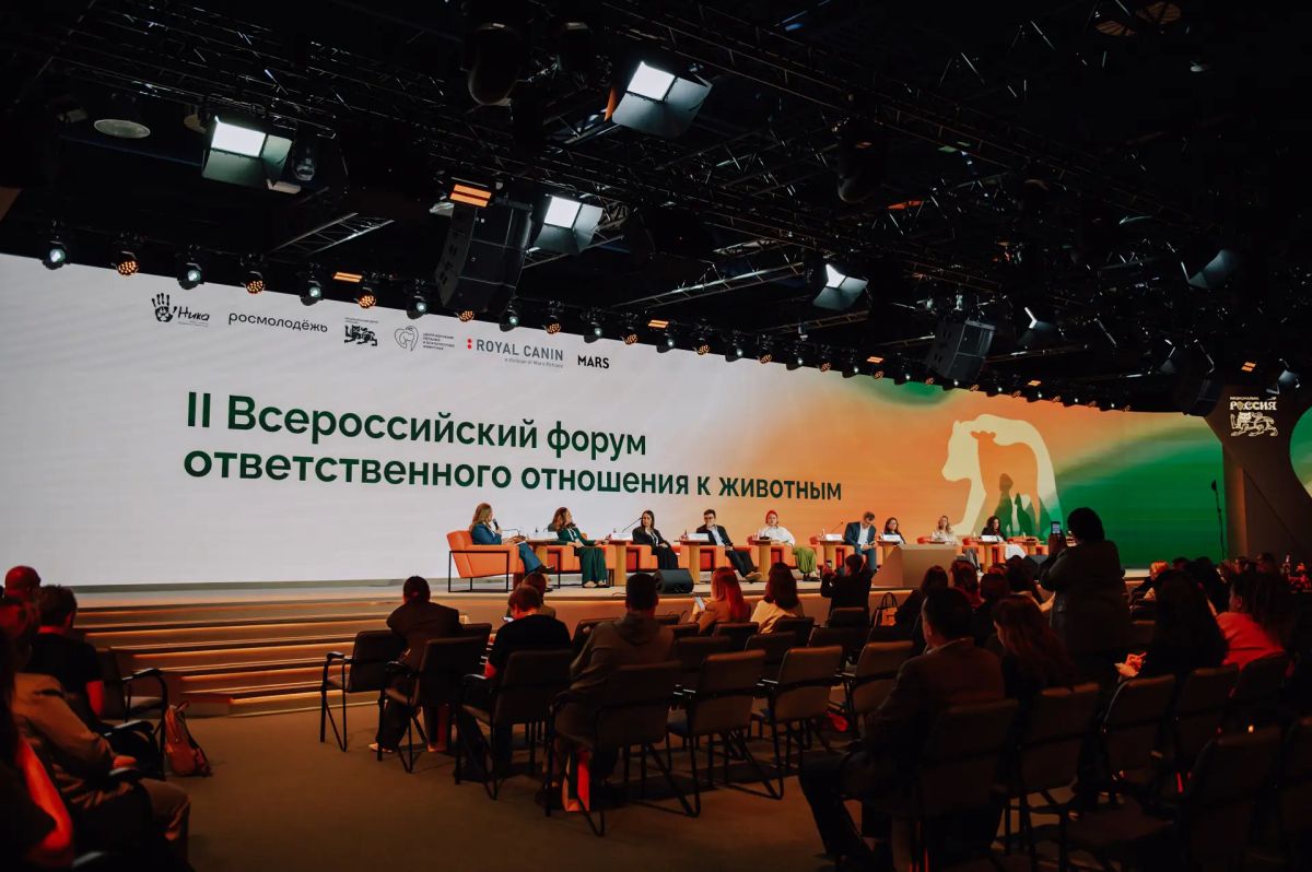 Муниципальный приют Воронежа получил награду на Всероссийской премии в области защиты животных Муниципальный приют Воронежа получил награду на Всероссийской премии в области защиты животных