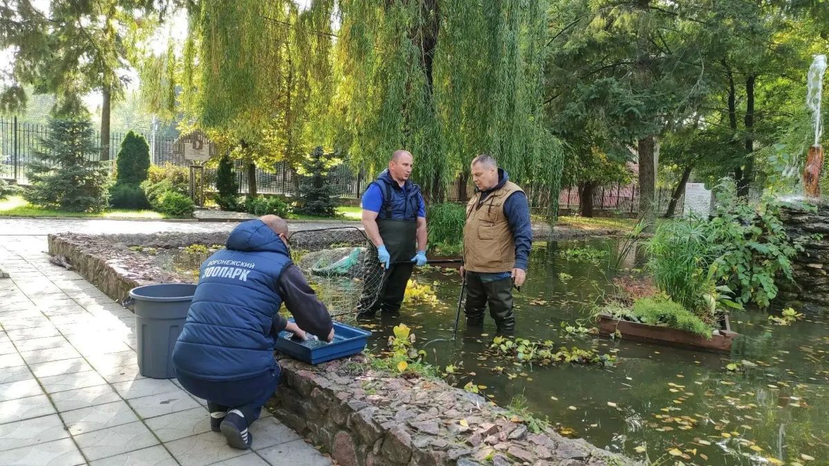 Тележурналист Иван Затевахин снимает документальный фильм про Воронежский зоопарк имени А.С. Попова