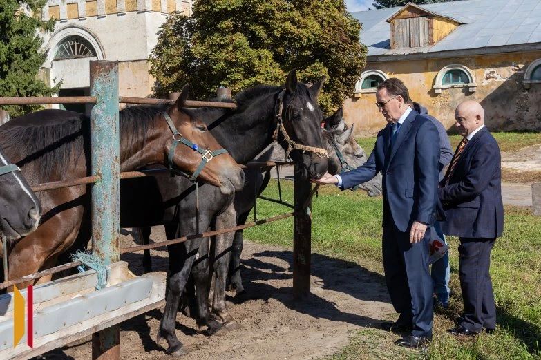 Национальное достояние страны: в Бобровском районе отпраздновали 250-летие Хреновского конного завода Национальное достояние страны: в Бобровском районе отпраздновали 250-летие Хреновского конного завода