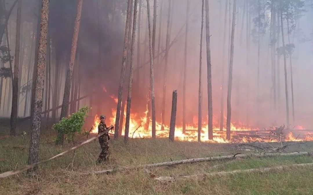 В Воронежской области по погодным условиям сохраняется III класс опасности из-за вероятности возникновения ландшафтных пожаров