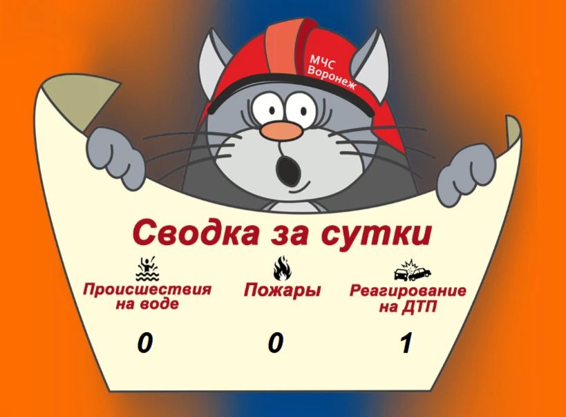 Оперативная сводка за сутки