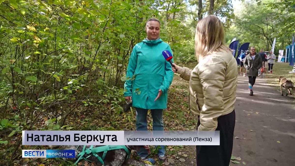 В «Олимпике» прошли гонки на собачьих упряжках «Звезда Черноземья»