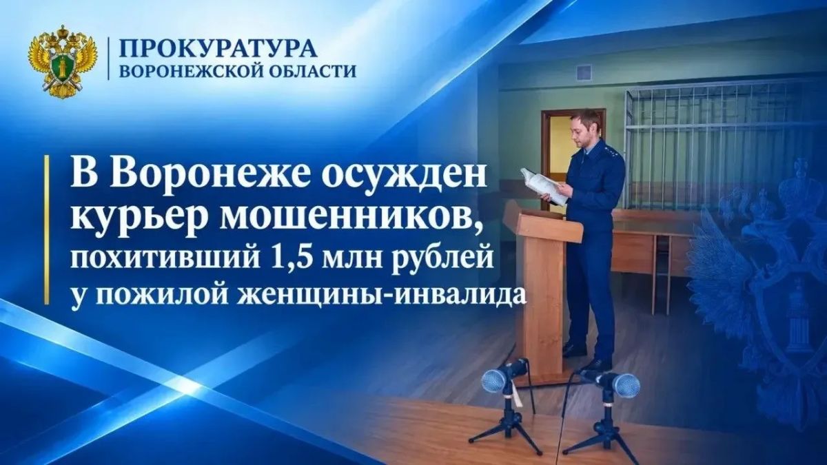 В Воронеже осужден курьер мошенников, похитивший 1,5 млн рублей у пожилой женщины-инвалида
