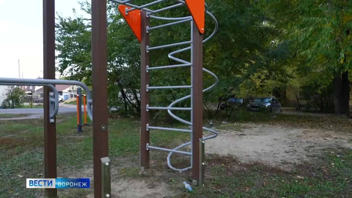 Воронежцы рискуют остаться без детских площадок во дворах