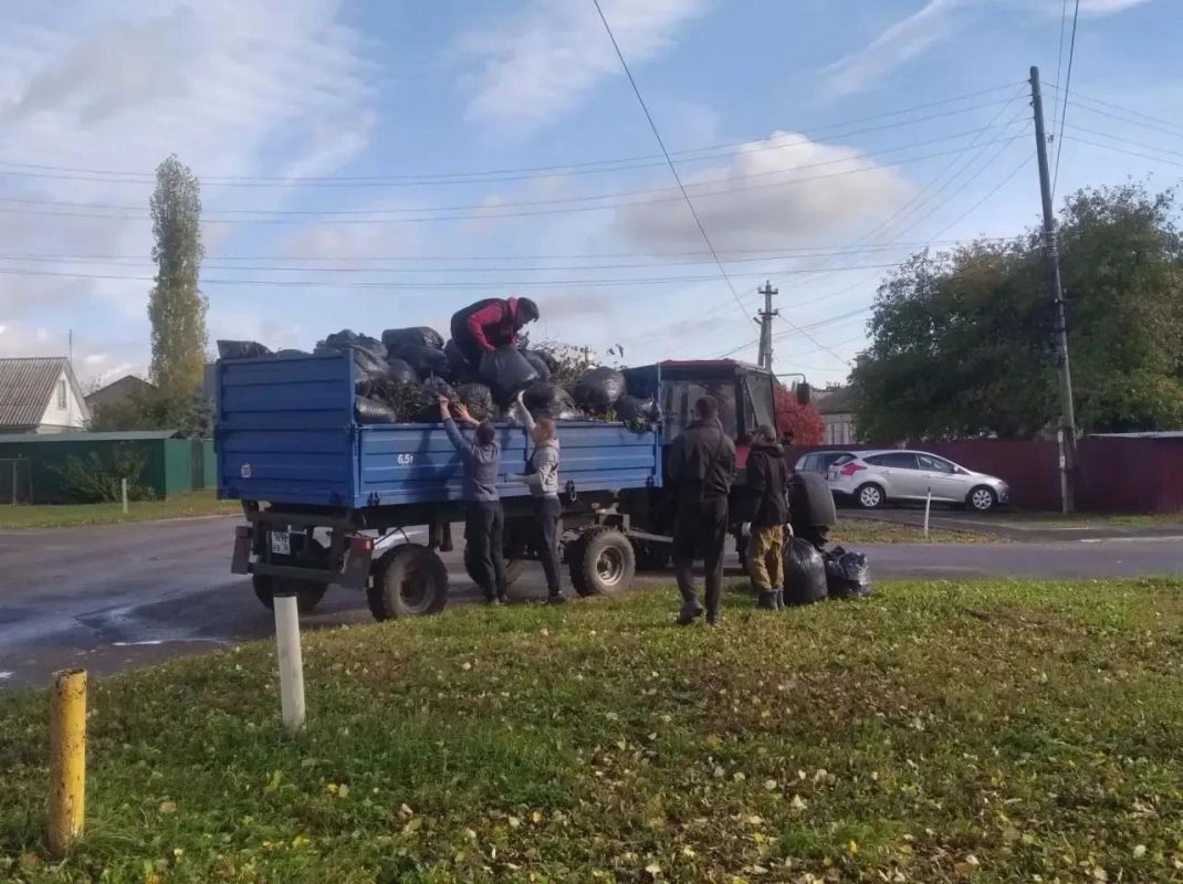 Более 88 тысяч воронежцев вышли на субботник Более 88 тысяч воронежцев вышли на субботник