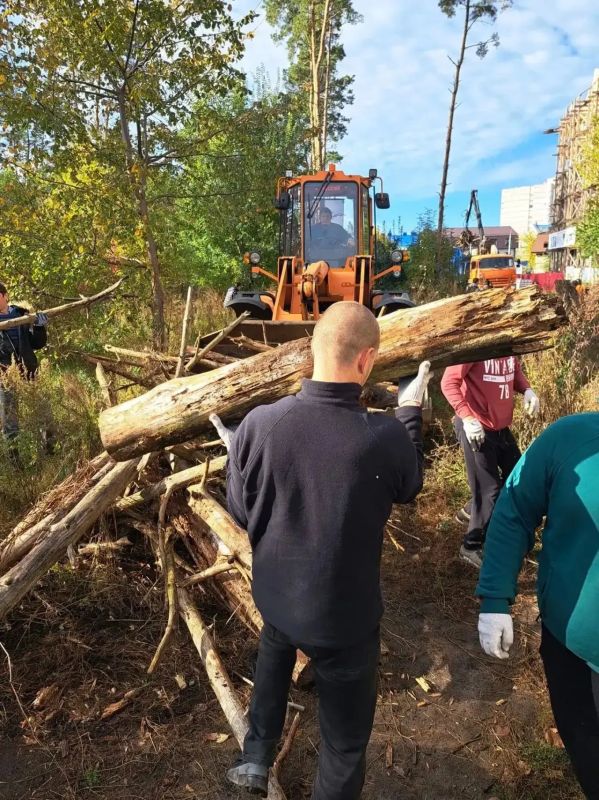Коминтерновский район принимает самое активное участие в общегородском субботнике, в рамках объявленного мэром Воронежа Сергеем Петриным месячника благоустройства