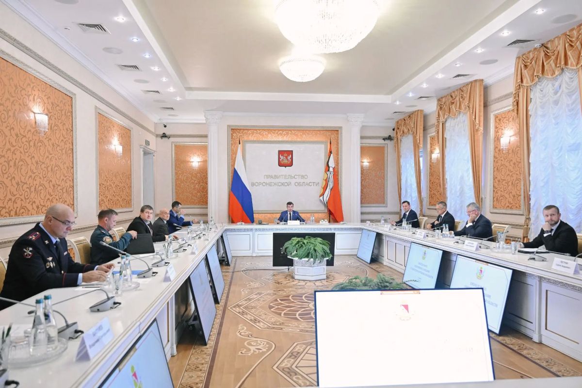 Министр Людмила Шелякина выступила на оперативном совещании под руководством первого заместителя председателя Правительства региона Данила Кустова