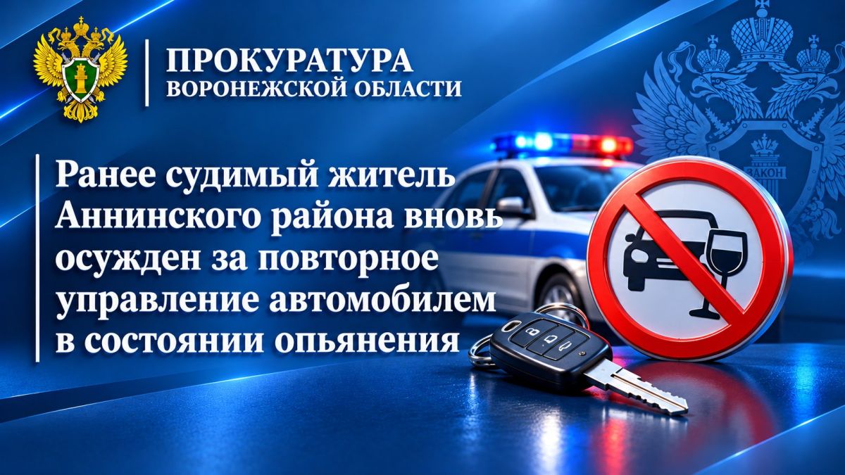 Ранее судимый житель Аннинского района вновь осужден за повторное управление автомобилем в состоянии опьянения