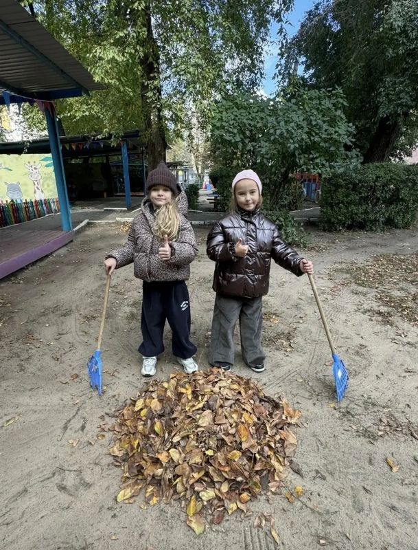 Дошкольные эконовости Воронежа Дошкольные эконовости Воронежа