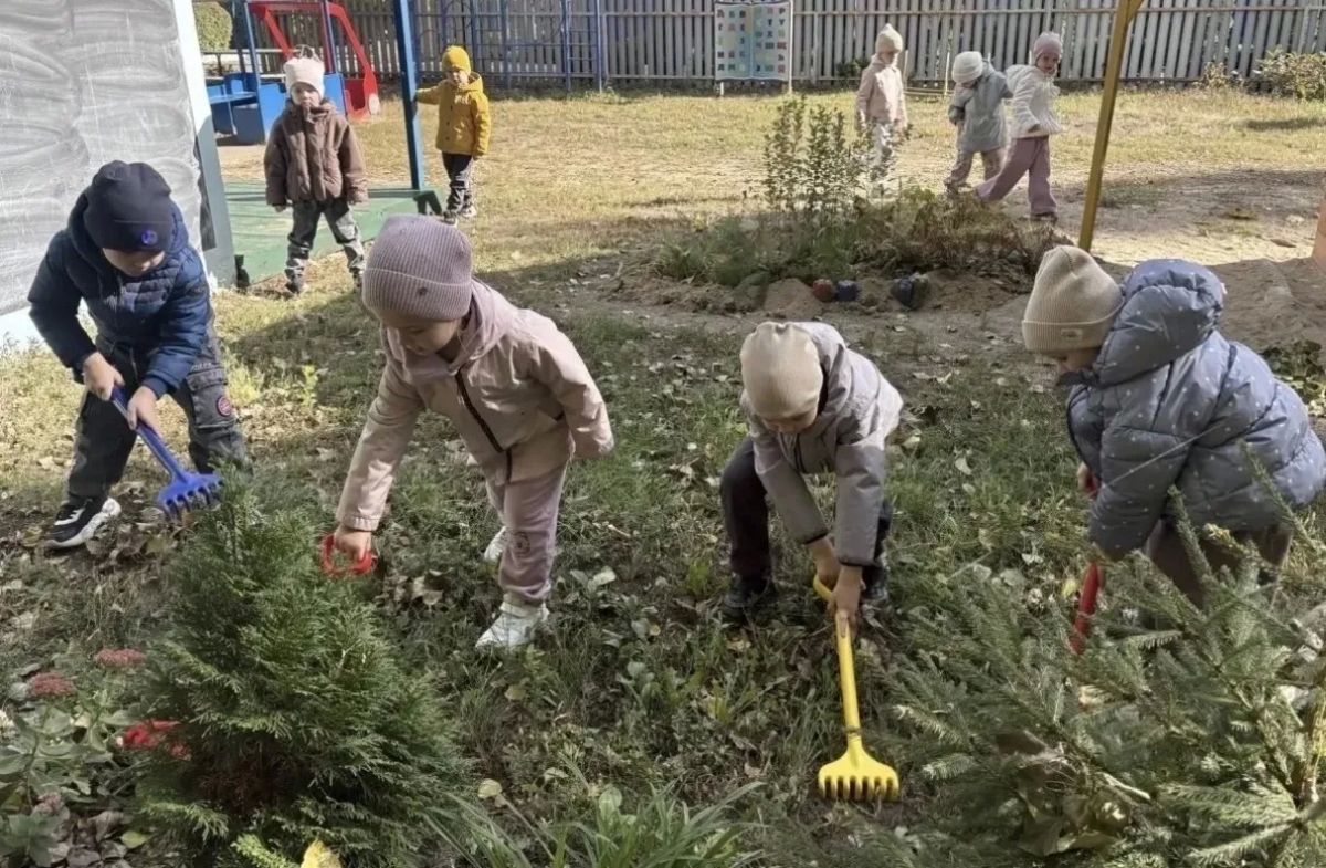 Дошкольные эконовости Воронежа Дошкольные эконовости Воронежа