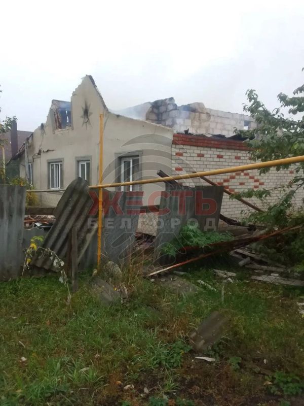 Два майора: #Сводка на утро 15 октября 2026 года Два майора: #Сводка на утро 15 октября 2026 года