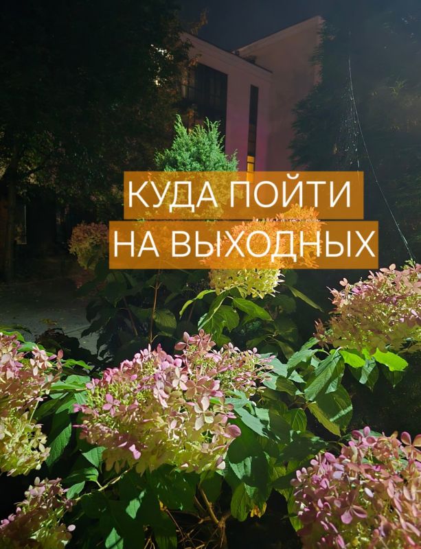 Спектакли, мастер-классы, экскурсии и страстные танцы – мы собрали для вас подборку интересных культурных событий на 17 и 18 октября!