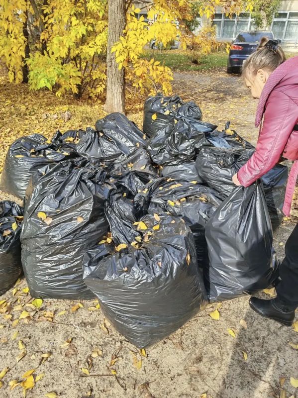 Вместе продуктивнее: более 3 тысяч человек приняли участие в очередной массовой уборке на территории района Вместе продуктивнее: более 3 тысяч человек приняли участие в очередной массовой уборке на территории района