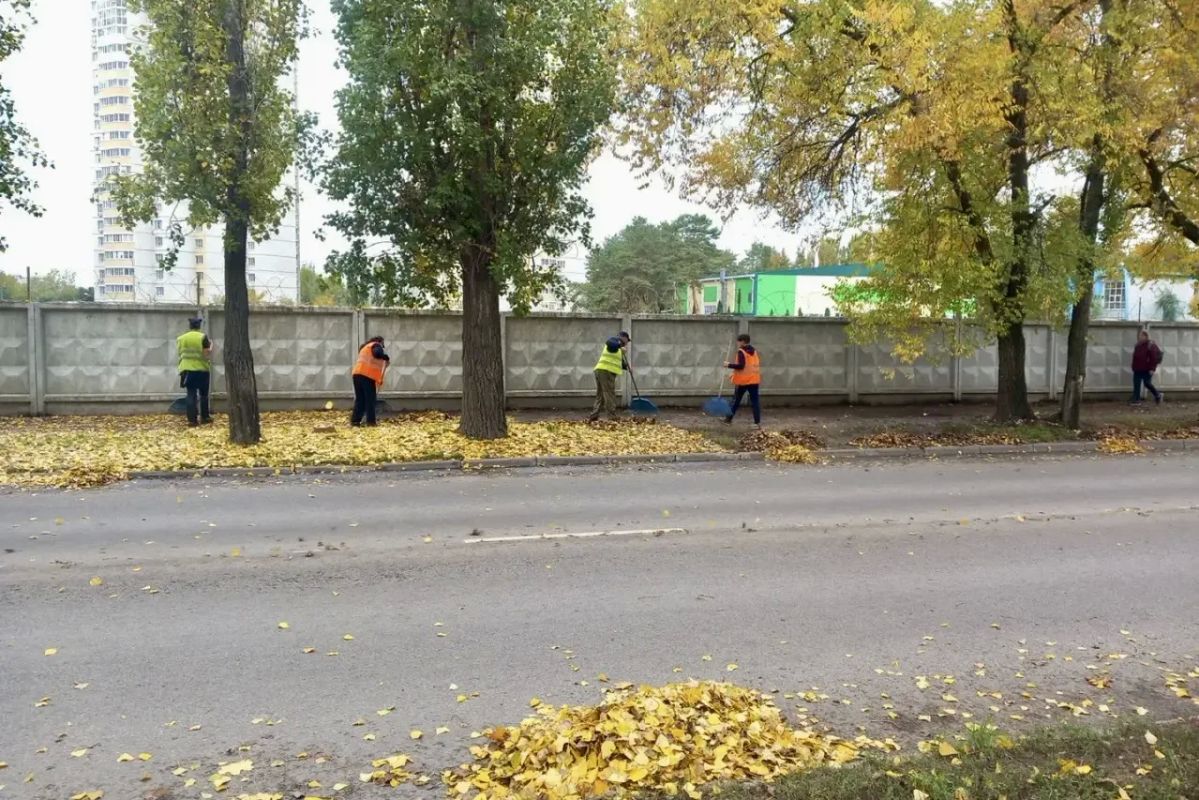 Вместе продуктивнее: более 3 тысяч человек приняли участие в очередной массовой уборке на территории района Вместе продуктивнее: более 3 тысяч человек приняли участие в очередной массовой уборке на территории района