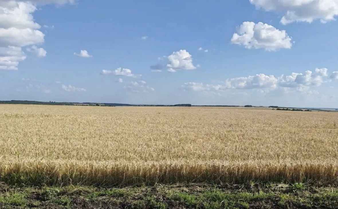 Воронежская область намерена застраховать более 800 тыс