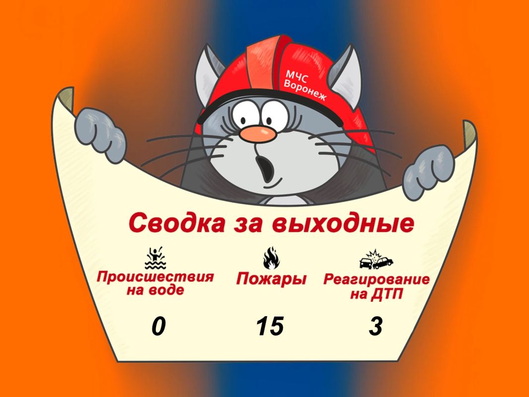 Оперативная сводка за выходные
