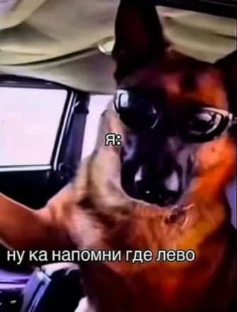 57% воронежцев не в состоянии сдать экзамен по вождению с первого раза