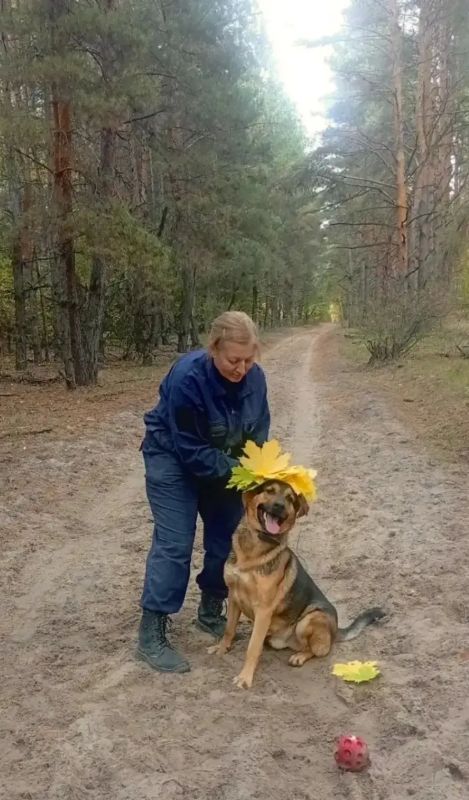 Кинологи Юлия Колупаева и Ксения Цыганкова в муниципальном приюте для животных на Балашовской помогают собакам снова научиться доверять людям Кинологи Юлия Колупаева и Ксения Цыганкова в муниципальном приюте для животных на Балашовской помогают собакам снова научиться доверять людям