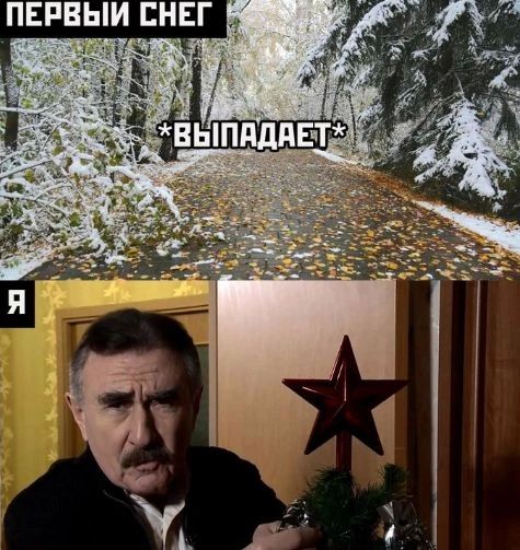 Воронежцам назвали срок первого снегопада