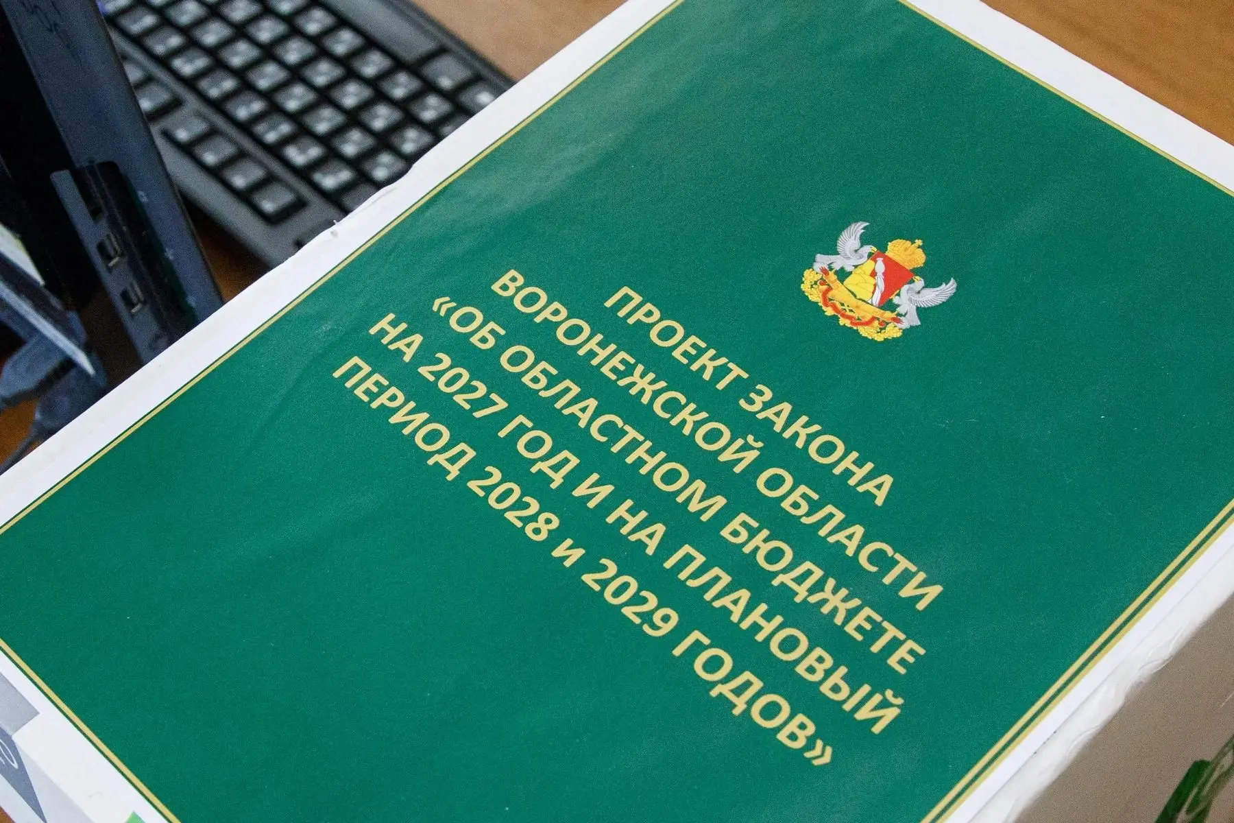 Правительство региона внесло в Воронежскую областную Думу проект бюджета на 2027–2029 годы