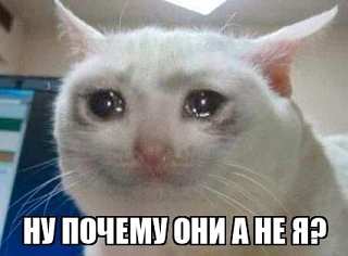 Мы узнали, кто тот самый счастливчик, сорвавший джекпот в 57,8 млн рублей