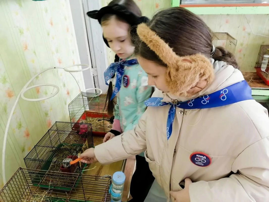 В Павловске полицейские и общественники организовали для отряда ЮИД экскурсию в «Уголок юных натуралистов» В Павловске полицейские и общественники организовали для отряда ЮИД экскурсию в «Уголок юных натуралистов»