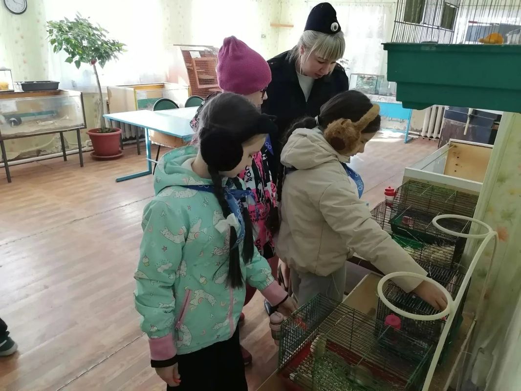 В Павловске полицейские и общественники организовали для отряда ЮИД экскурсию в «Уголок юных натуралистов» В Павловске полицейские и общественники организовали для отряда ЮИД экскурсию в «Уголок юных натуралистов»