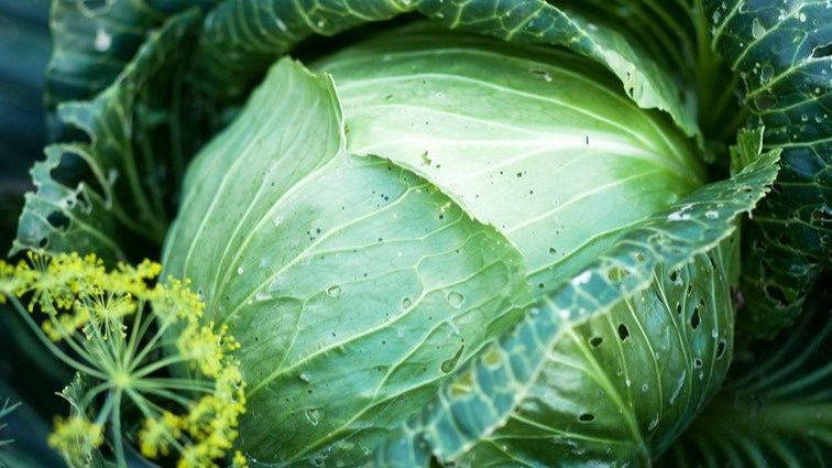 ������� ����������� �������: ��� �������� ��� ������ � �������� ������ �� 3 ��