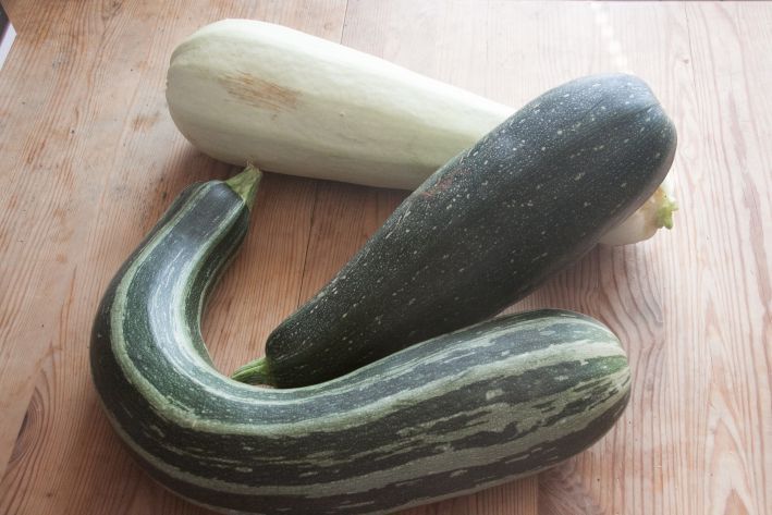 Готовим вкусные кабачки: нюансы обработки