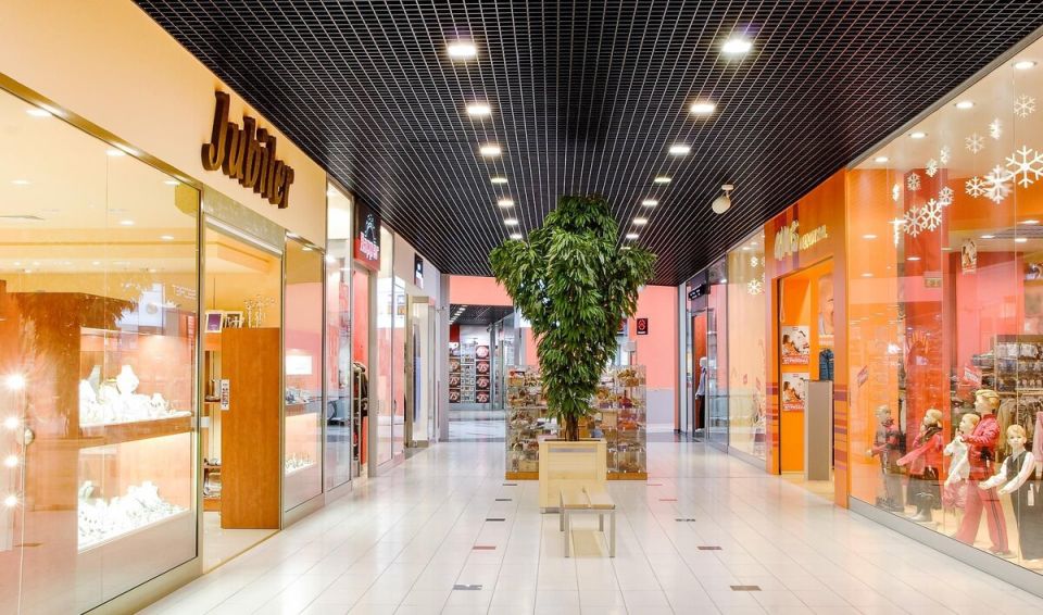 Новая эпоха: минимализм и осознанное потребление как стиль жизни в современном обществе