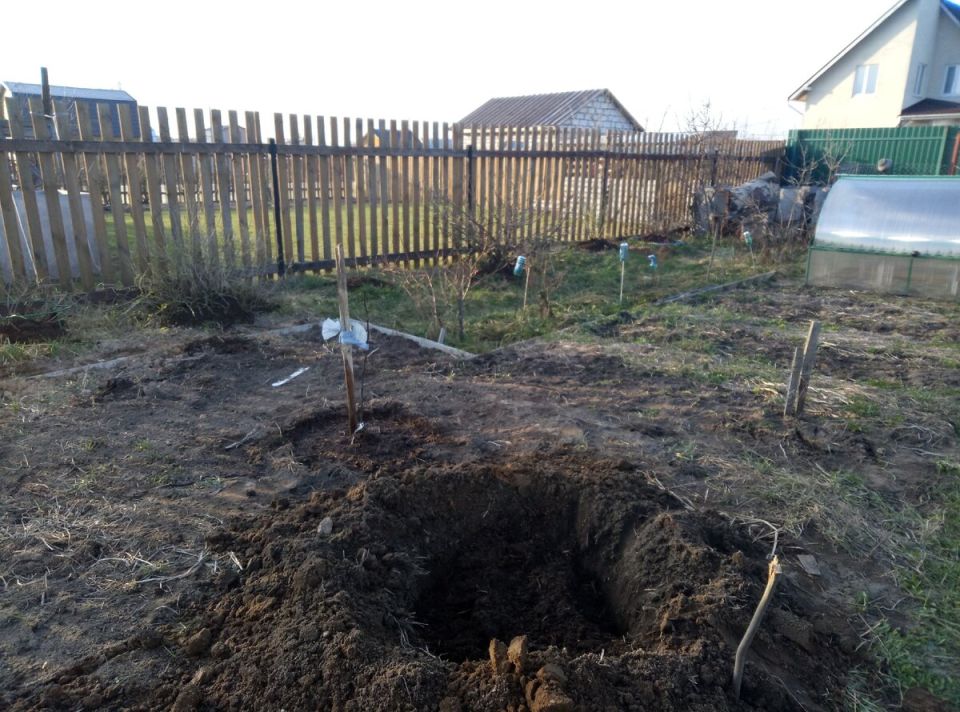 Подготовка посадочных ям: секреты успешного садоводства