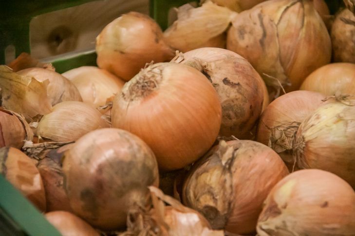 Как хранить лук в погребе: не сгниет и останется сочным